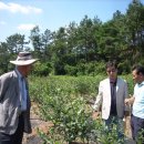 이병일농장 이미지