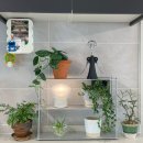 (주)지씨코리아 | 입주 1년 전부터 가구를 사는 사람이 있다...? (나)