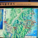 블루로드 이미지
