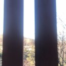 전촌솔밭해수욕장 이미지