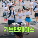 레이스 | 2026 기브앤레이스 부산 후기, 마라톤 사진 찾는법 꿀팁!