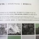 GS 제주탑동점 이미지