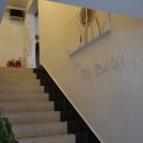 파파스치킨호프 이미지