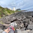 엄마와 둘이 떠나는 뚜벅이 제주도 2박 3일 여행(사진 있음, 코스 있음) 이미지