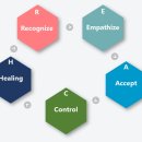 선운초등학교 이미지