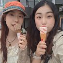 out 뚜벅이 여행기록 (히타카츠-이즈하라 미라클버스 이용후기/대마도에서 생일파티(케이크파는곳))