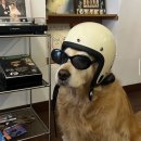 하루덕(지행점) | 시월부터 지금까지