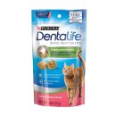 월드덴탈 이미지