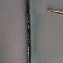 아이자리 이미지