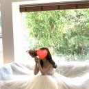 강준영스튜디오