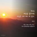 새날 출판사
