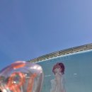 모노트리 | 감다살 웬디의 다살자콘 후기