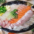 낭만사시미 이미지