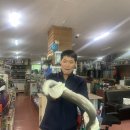 대물장어 이미지