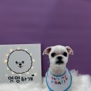 정봉미용실 네이버블로그