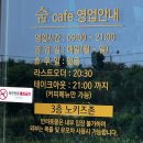 카페] 1만 4천 평 정원과 관통하는 소나무의 압도적 스케일! 서산 음암면 '온다원 숨' 솔직 방문 후기 🌲☕️