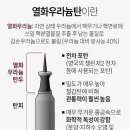열화 연합뉴스