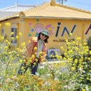 in 섬 story 이미지