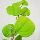 주식회사 동국플러스 이미지