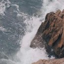 스위트허브 이미지