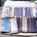 김인섭 단계일기 이미지