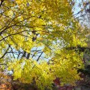 희방사 입구 | 영주 가볼만한곳 희방사 희방폭포 여행 후기