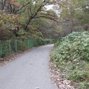 신장소류지 이미지