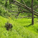 가원습지생태자연공원 이미지