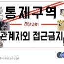 [24.11.08] 특강 + 팀 프로젝트 - UI 분석 기반의 데이터 개선(1) + TIL