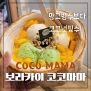 마마코코 이미지