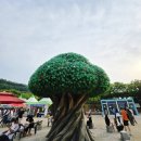 무주 반딧불 축제 기본 정보, 운문산 반딧불이 신비탐사 체험 후기