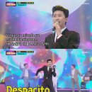 데스파시토 이미지