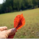 옥계마을 이미지