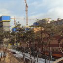 청옥초등학교 이미지