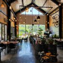 숲속 짱구네 이미지