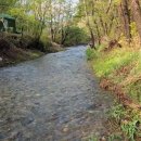 축복농장 이미지