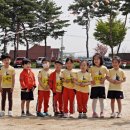 홍산초등학교병설유치원 이미지