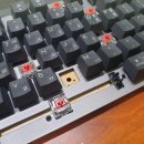 수원-0078 이미지