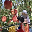 (주)장수산업 이미지