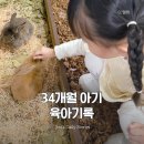 36-D | 34개월 아기 쥬의 육아일기 · 2026년 1월 기록