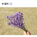 북스테이 노란 이미지