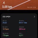 꿀벌PC | 부지런히 그리고 쉬어가기 | 25년 8월 3주차