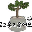 중앙동로 이미지
