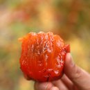 가을민박 이미지