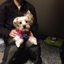 버드나무캠핑장 이미지