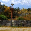 고산골 공룡공원 벽 이미지