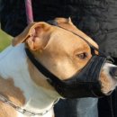 이승훈내과의원 이미지