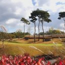 건설공제조합 세종필드골프클럽 이미지