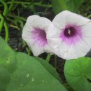 전라도 여수식당 이미지