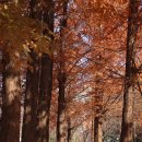 장자호수생태공원 이미지